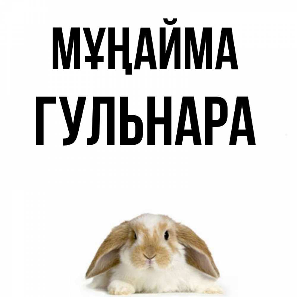 Күн сайын ашық хат с именем, Гульнара Мұңайма коричнево белый заяц с большими ушками Онлайн тегін жүктеп алу тілектері бар керемет карта 