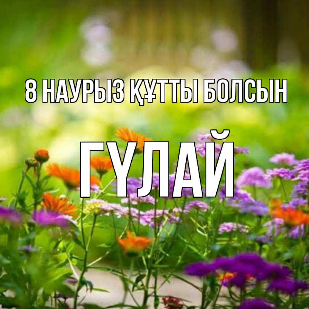 Күн сайын ашық хат с именем, ГҮЛАЙ 8 наурыз құтты болсын цветы Онлайн тегін жүктеп алу тілектері бар керемет карта 