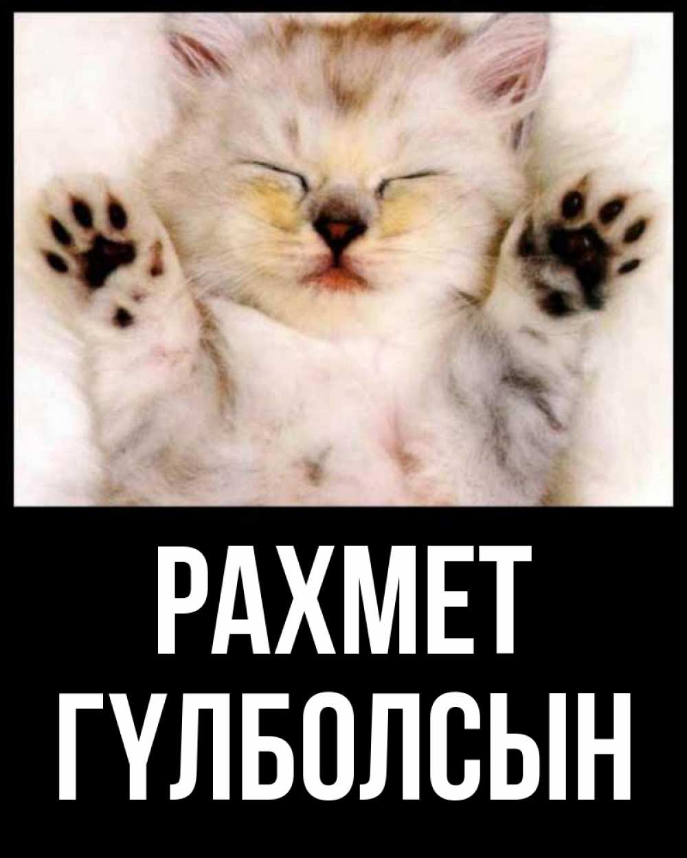 Күн сайын ашық хат с именем, ГҮЛБОЛСЫН рахмет маленький котенок Онлайн тегін жүктеп алу тілектері бар керемет карта 