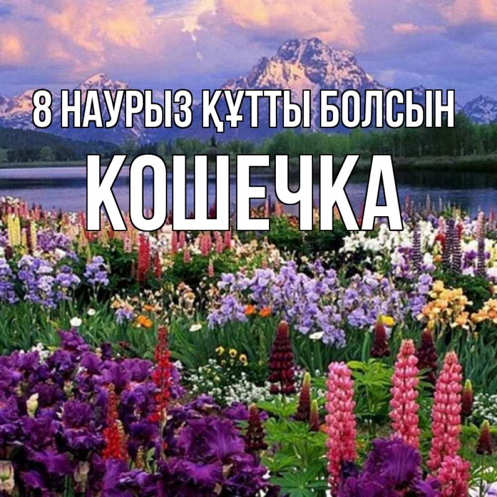 Күн сайын ашық хат с именем, Кошечка 8 наурыз құтты болсын международный женский день Онлайн тегін жүктеп алу тілектері бар керемет карта 