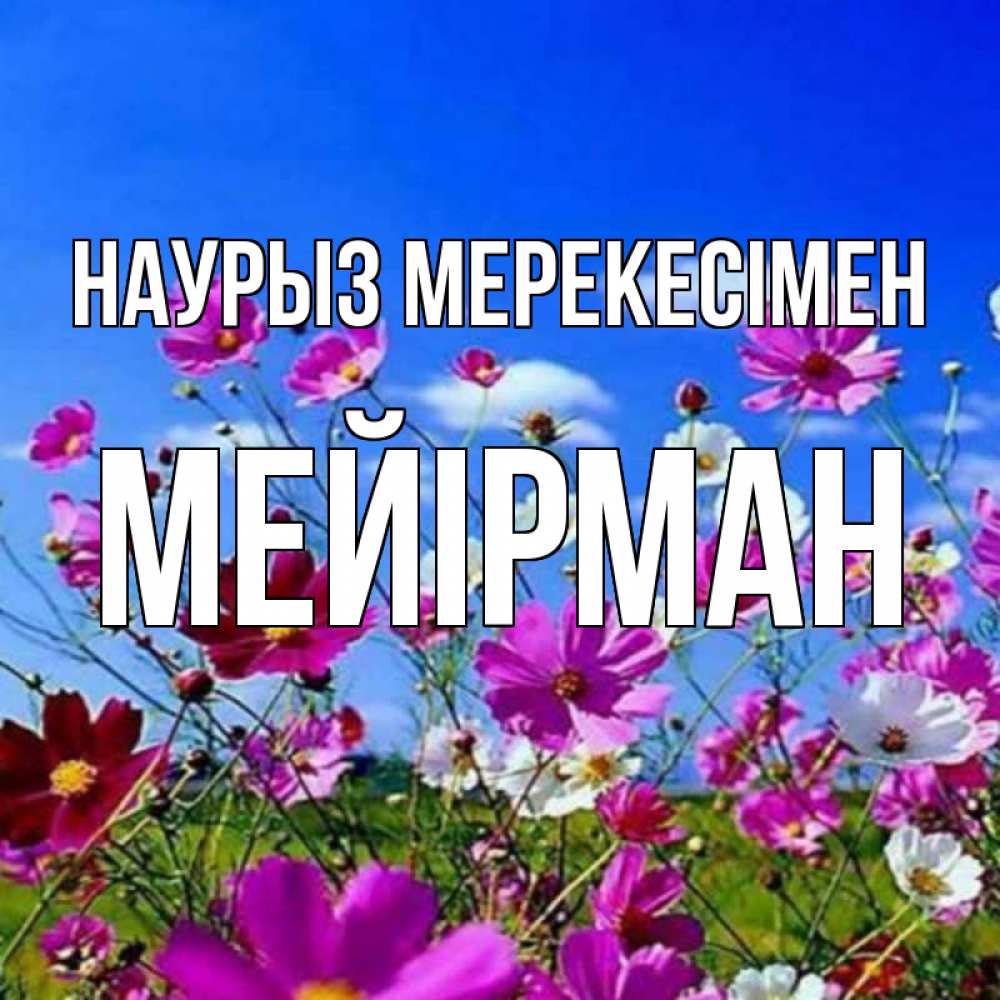 Күн сайын ашық хат с именем, МЕЙІРМАН Наурыз мерекесімен цветы Онлайн тегін жүктеп алу тілектері бар керемет карта 