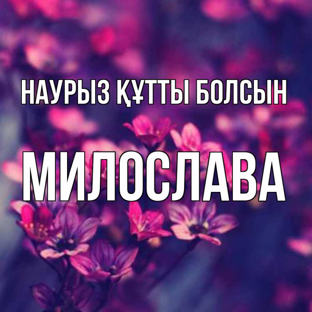 Күн сайын ашық хат с именем, Милослава Наурыз құтты болсын небольшие цветы 1 Онлайн тегін жүктеп алу тілектері бар керемет карта 