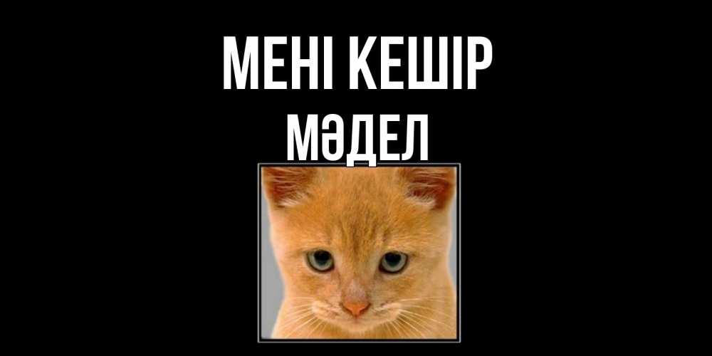 Күн сайын ашық хат с именем, МӘДЕЛ Мені кешір рыжий грустный кот просит прощения Онлайн тегін жүктеп алу тілектері бар керемет карта 