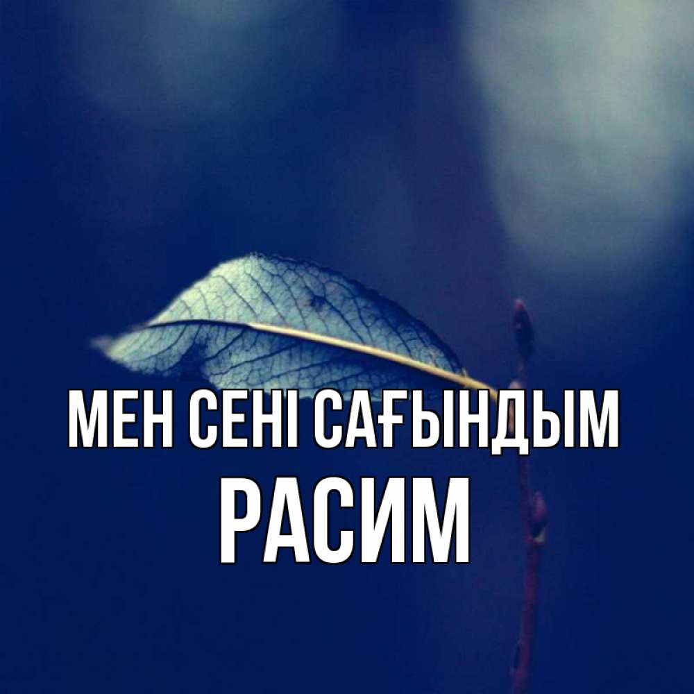 Күн сайын ашық хат с именем, Расим Мен сені сағындым одна ветка 1 Онлайн тегін жүктеп алу тілектері бар керемет карта 