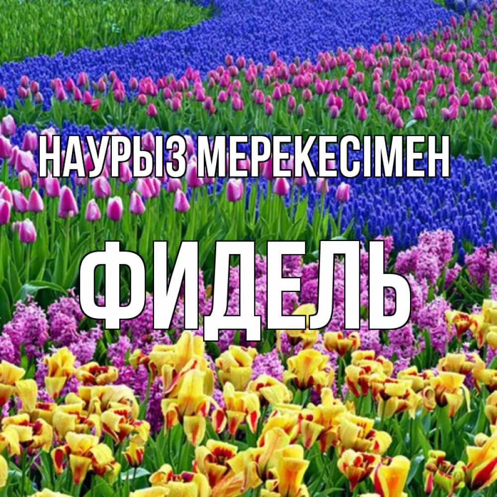 Күн сайын ашық хат с именем, Фидель Наурыз мерекесімен цветы Онлайн тегін жүктеп алу тілектері бар керемет карта 