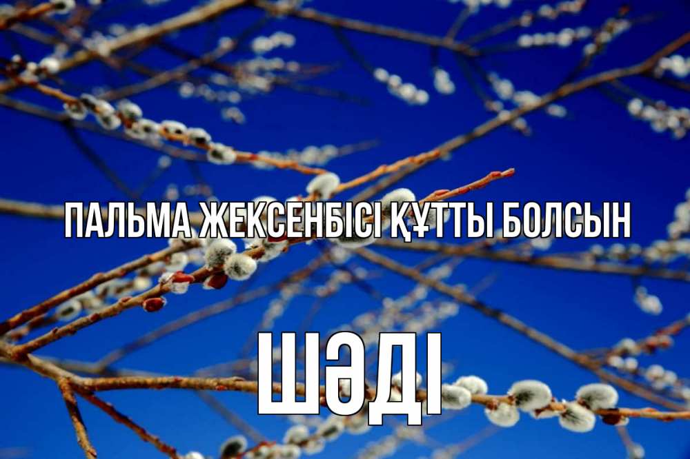 Күн сайын ашық хат с именем, ШӘДІ Пальма жексенбісі құтты болсын верба Онлайн тегін жүктеп алу тілектері бар керемет карта 