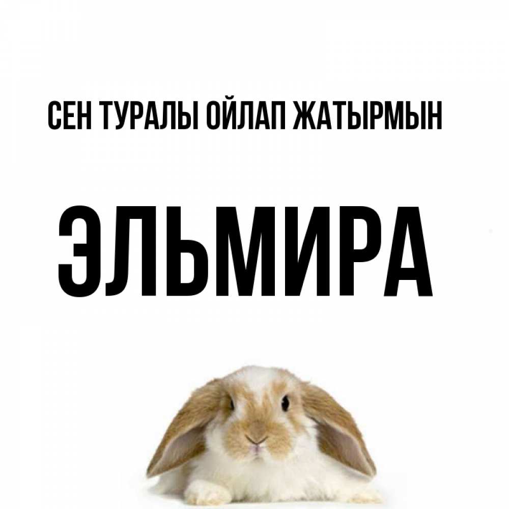 Күн сайын ашық хат с именем, Эльмира Сен туралы ойлап жатырмын подписать своими руками онлайн Онлайн тегін жүктеп алу тілектері бар керемет карта 