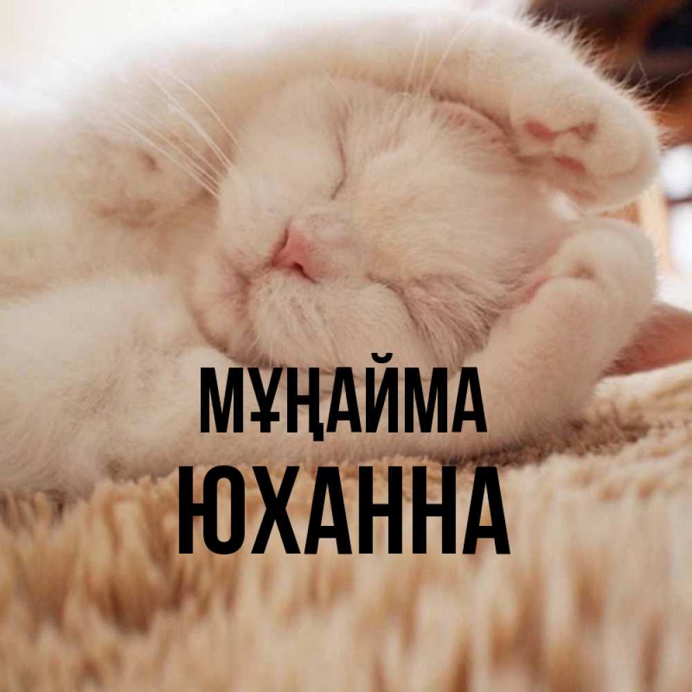 Күн сайын ашық хат с именем, Юханна Мұңайма Котенок спит Онлайн тегін жүктеп алу тілектері бар керемет карта 