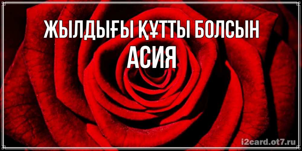Күн сайын ашық хат с именем, АСИЯ Жылдығы құтты болсын алая роза Онлайн тегін жүктеп алу тілектері бар керемет карта 