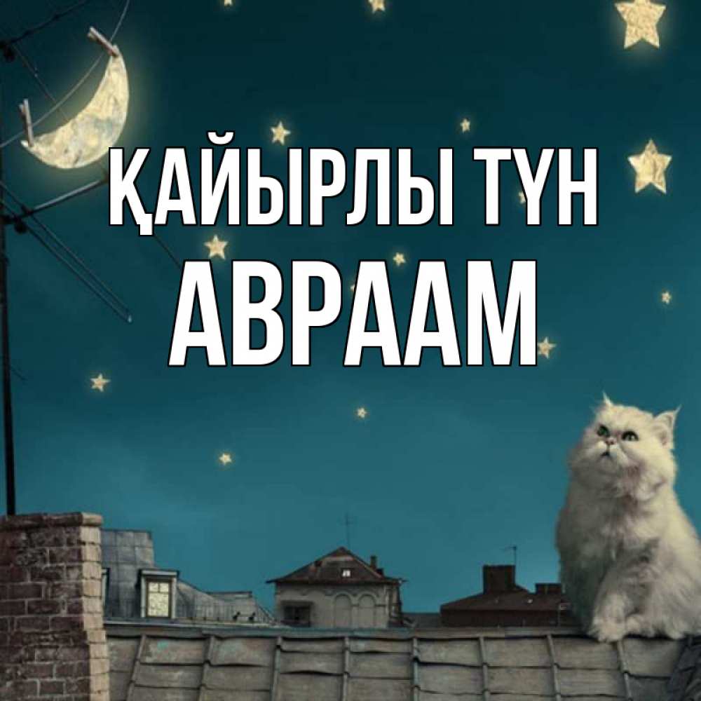 Күн сайын ашық хат с именем, Авраам Қайырлы түн белый кот сидит на крыше Онлайн тегін жүктеп алу тілектері бар керемет карта 