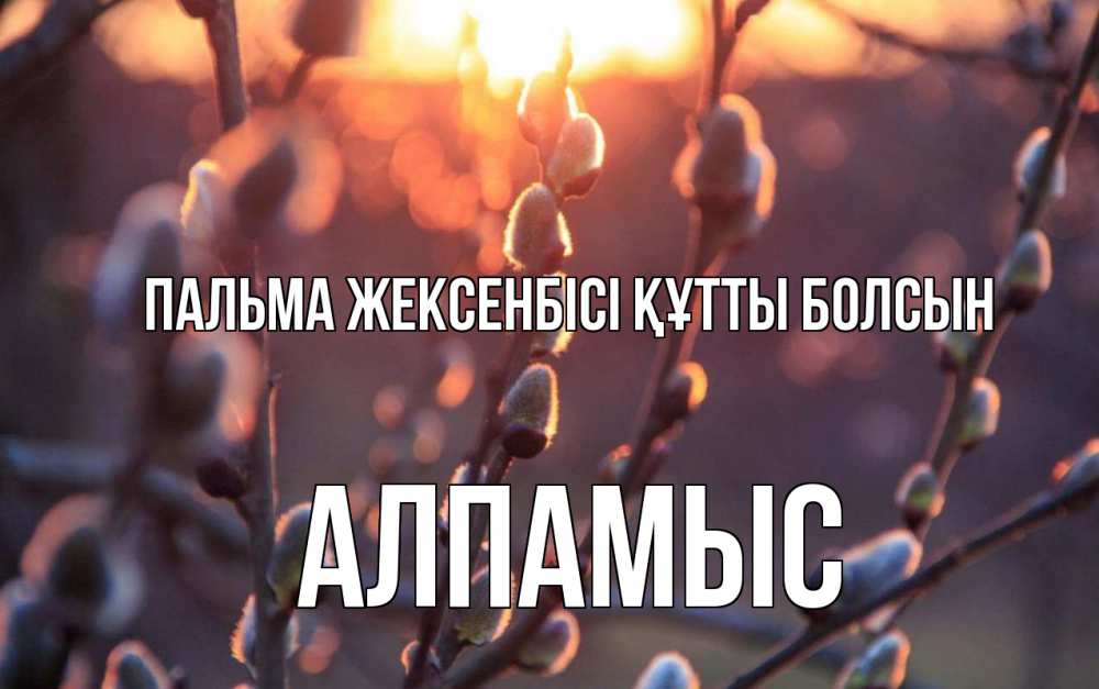 Күн сайын ашық хат с именем, Алпамыс Пальма жексенбісі құтты болсын верба Онлайн тегін жүктеп алу тілектері бар керемет карта 