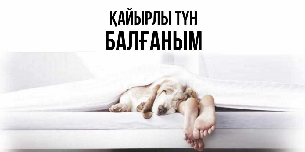Күн сайын ашық хат с именем, БАЛҒАНЫМ Қайырлы түн кровать с собакой пожелание сладких снов и спокойной ночи Онлайн тегін жүктеп алу тілектері бар керемет карта 