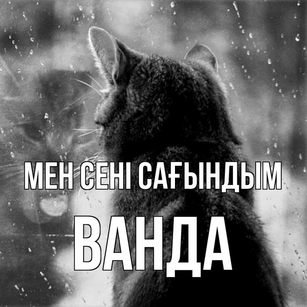 Күн сайын ашық хат с именем, Ванда Мен сені сағындым скорее ко мне приходи 1 Онлайн тегін жүктеп алу тілектері бар керемет карта 