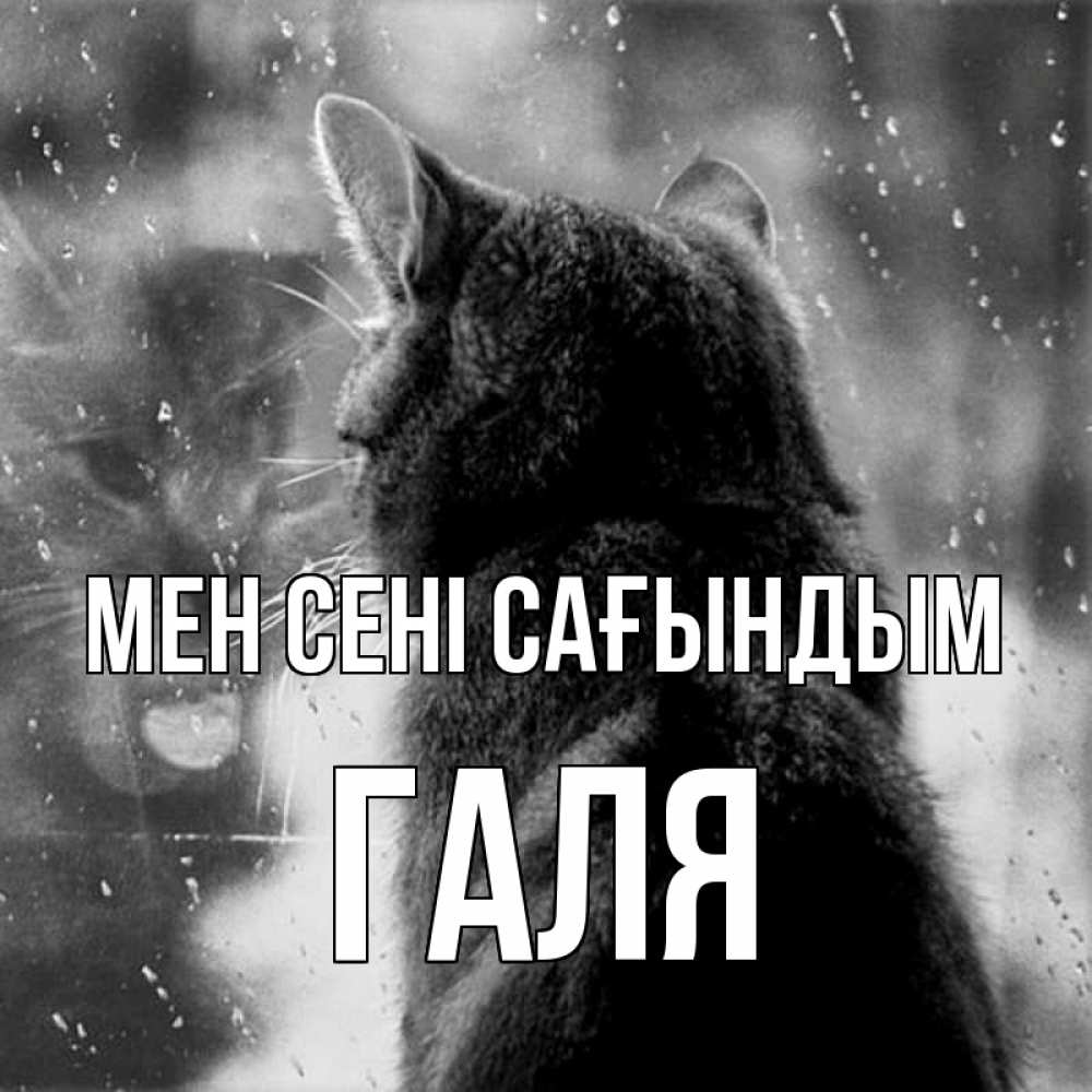 Күн сайын ашық хат с именем, Галя Мен сені сағындым скорее ко мне приходи 1 Онлайн тегін жүктеп алу тілектері бар керемет карта 