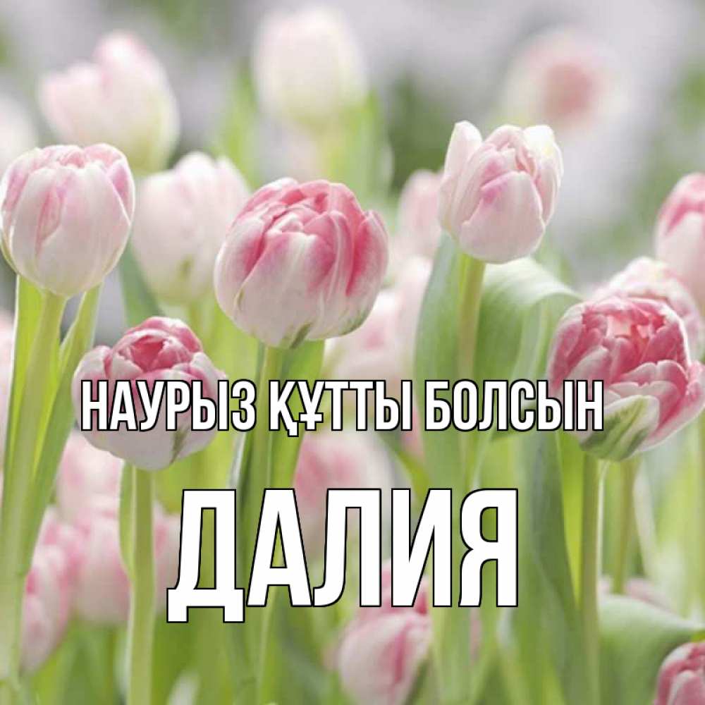 Күн сайын ашық хат с именем, Далия Наурыз құтты болсын цветы Онлайн тегін жүктеп алу тілектері бар керемет карта 