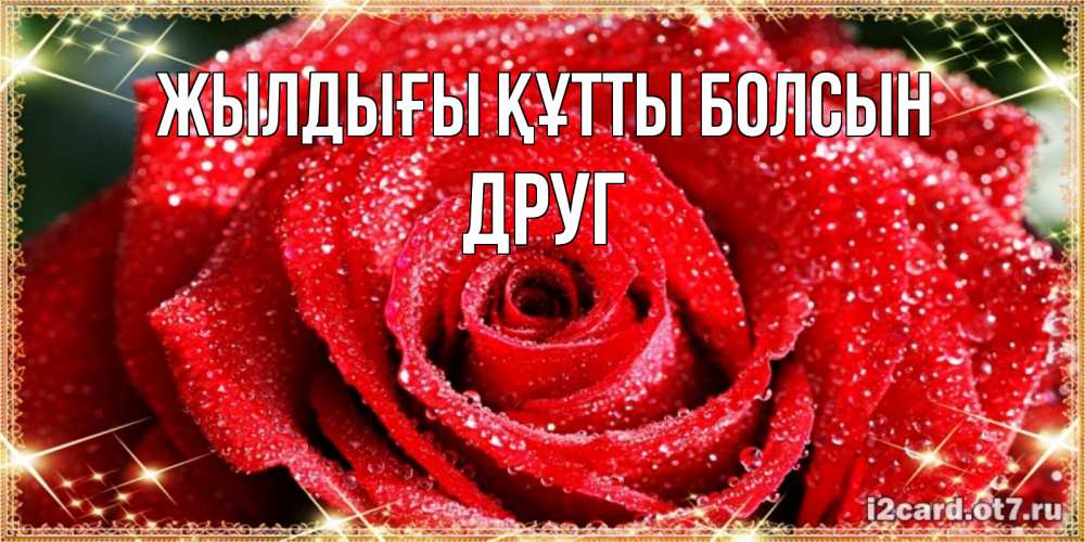 Күн сайын ашық хат с именем, Друг Жылдығы құтты болсын роса и роза. открытка с красивой розой Онлайн тегін жүктеп алу тілектері бар керемет карта 