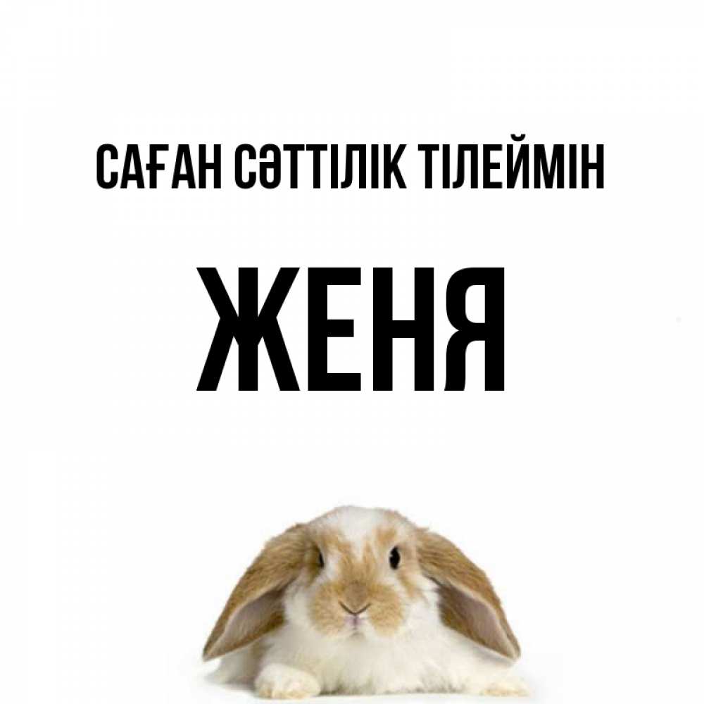 Күн сайын ашық хат с именем, Женя Саған сәттілік тілеймін открытки с произвольным текстом который можно вставить в открытку и создать ее самостоятельно бесплатно онлайн Онлайн тегін жүктеп алу тілектері бар керемет карта 