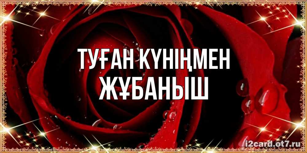 Күн сайын ашық хат с именем, Жұбаныш Туған күніңмен цветок в росе на день рождения Онлайн тегін жүктеп алу тілектері бар керемет карта 