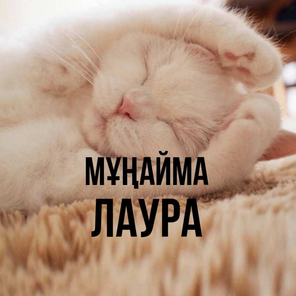 Күн сайын ашық хат с именем, Лаура Мұңайма Котенок спит Онлайн тегін жүктеп алу тілектері бар керемет карта 