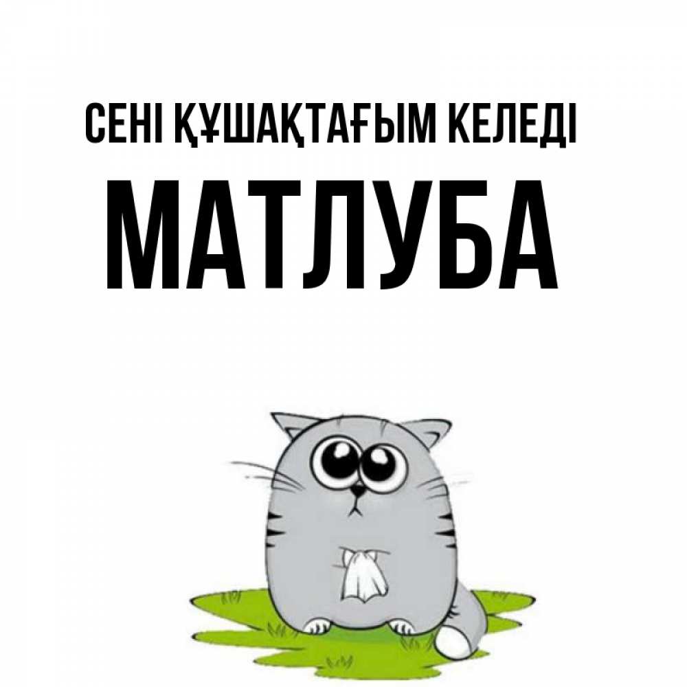 Күн сайын ашық хат с именем, МАТЛУБА сені құшақтағым келеді котик теребит платочек сидя на травке Онлайн тегін жүктеп алу тілектері бар керемет карта 
