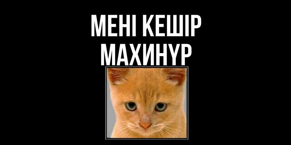 Күн сайын ашық хат с именем, МАХИНҮР Мені кешір рыжий грустный кот просит прощения Онлайн тегін жүктеп алу тілектері бар керемет карта 