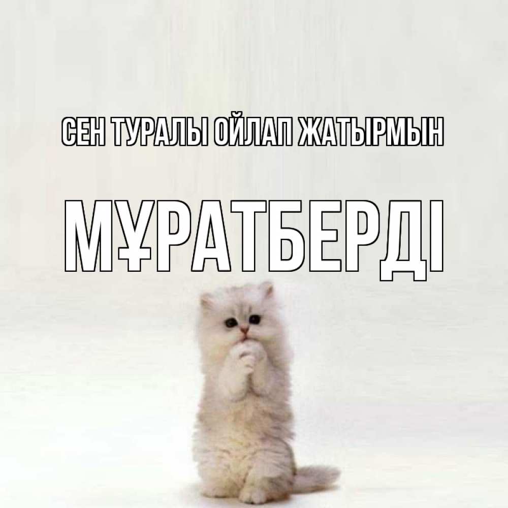 Күн сайын ашық хат с именем, Мұратберді Сен туралы ойлап жатырмын кот стоит на задних лапах Онлайн тегін жүктеп алу тілектері бар керемет карта 