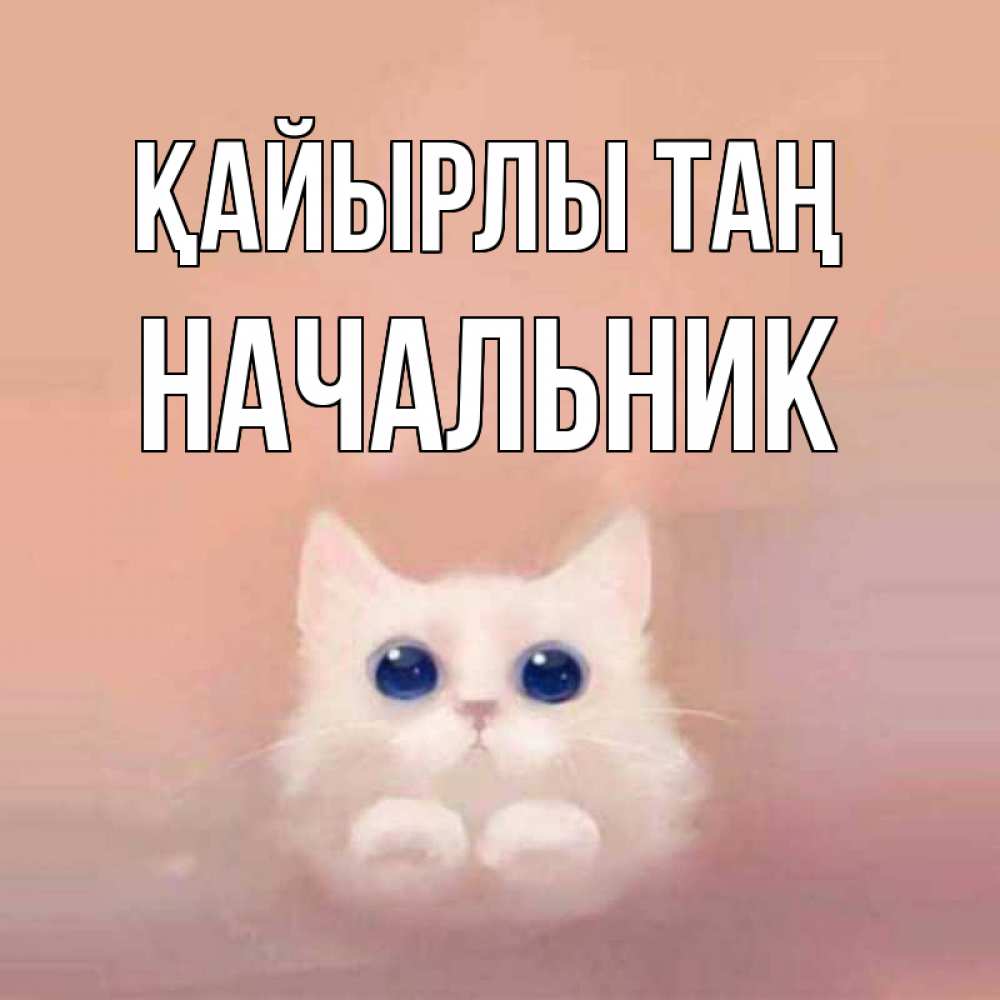 Күн сайын ашық хат с именем, Начальник Қайырлы таң на розовом фоне Онлайн тегін жүктеп алу тілектері бар керемет карта 