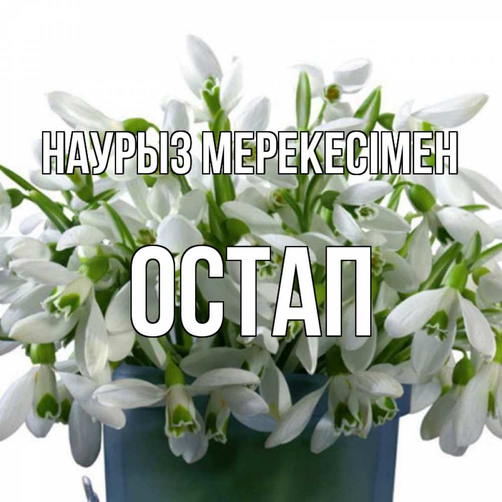 Күн сайын ашық хат с именем, Остап Наурыз мерекесімен цветы к наурызу новый год в Казахстане Онлайн тегін жүктеп алу тілектері бар керемет карта 