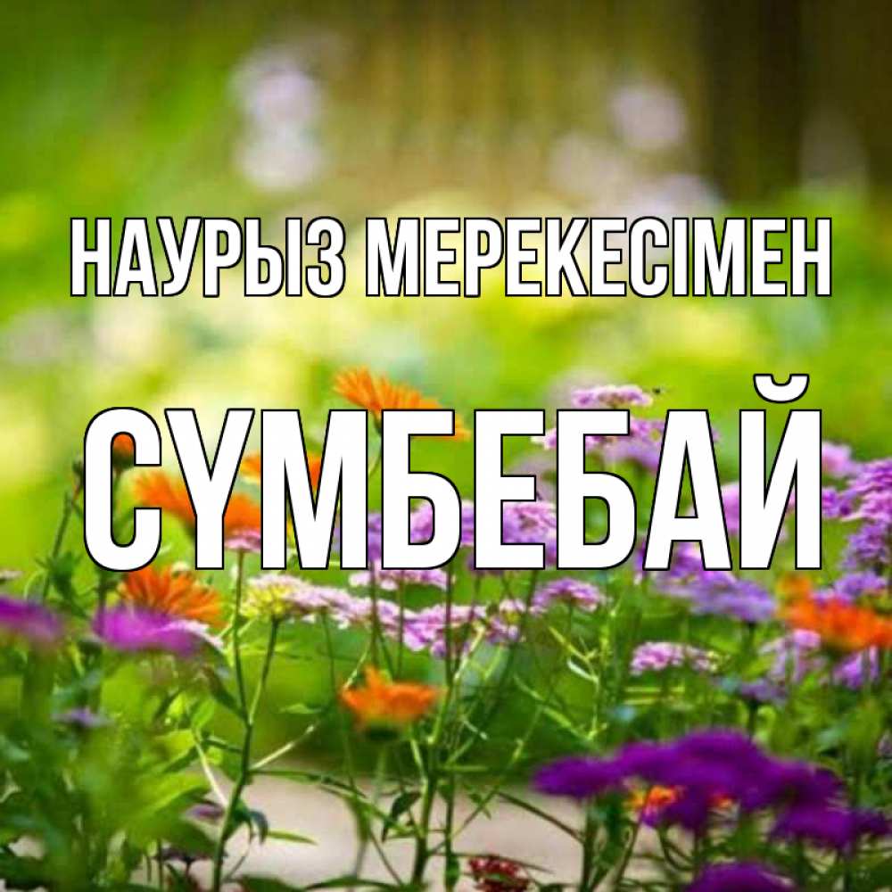 Күн сайын ашық хат с именем, СҮМБЕБАЙ Наурыз мерекесімен цветы Онлайн тегін жүктеп алу тілектері бар керемет карта 