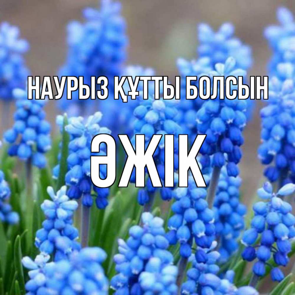 Күн сайын ашық хат с именем, Әжік Наурыз құтты болсын Поздравительная открытка для женщин с цветами на праздничную дату Онлайн тегін жүктеп алу тілектері бар керемет карта 