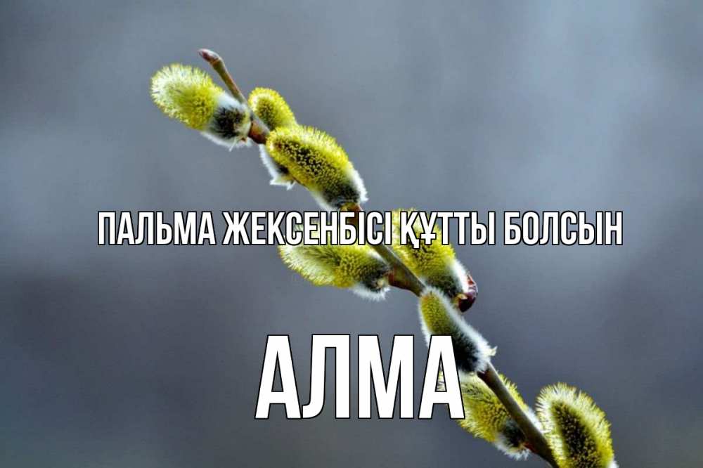 Күн сайын ашық хат с именем, АЛМА Пальма жексенбісі құтты болсын верба Онлайн тегін жүктеп алу тілектері бар керемет карта 