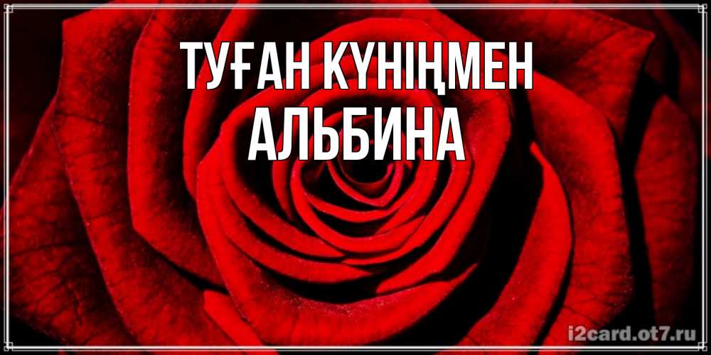 Күн сайын ашық хат с именем, Альбина Туған күніңмен алая роза Онлайн тегін жүктеп алу тілектері бар керемет карта 