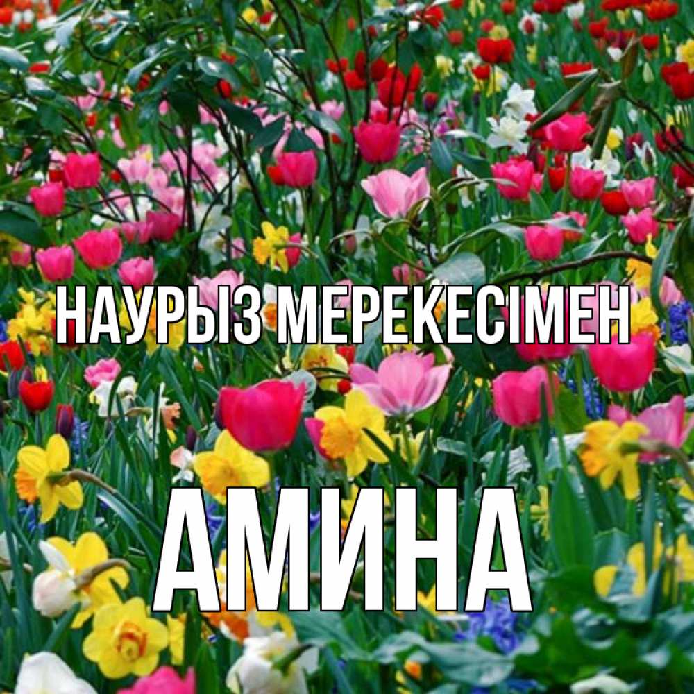 Күн сайын ашық хат с именем, Амина Наурыз мерекесімен с наурызом праздником весны поздравления для женщины Онлайн тегін жүктеп алу тілектері бар керемет карта 