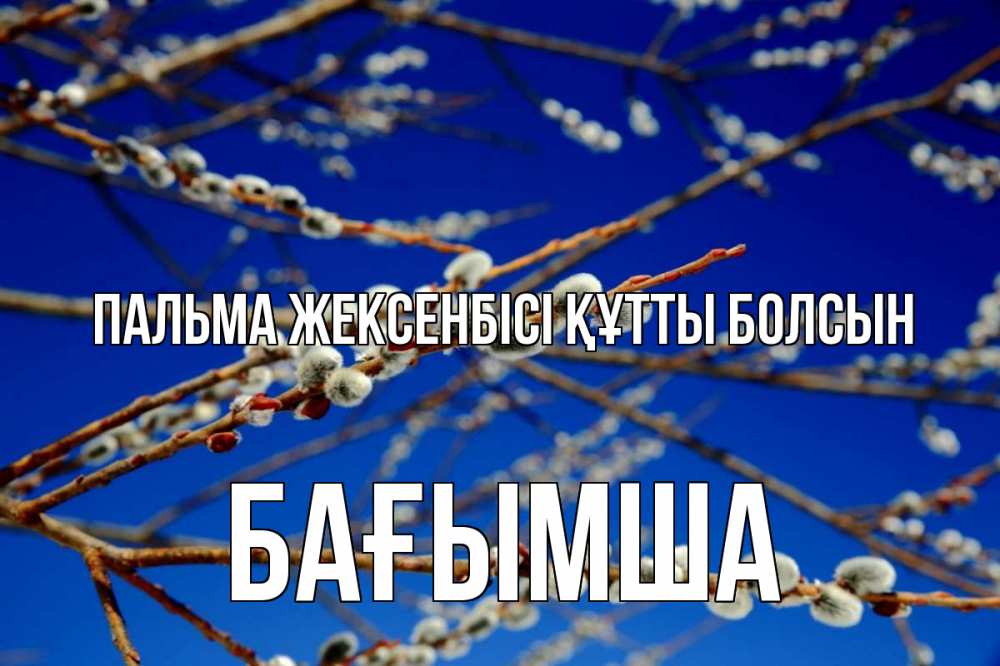 Күн сайын ашық хат с именем, БАҒЫМША Пальма жексенбісі құтты болсын верба Онлайн тегін жүктеп алу тілектері бар керемет карта 