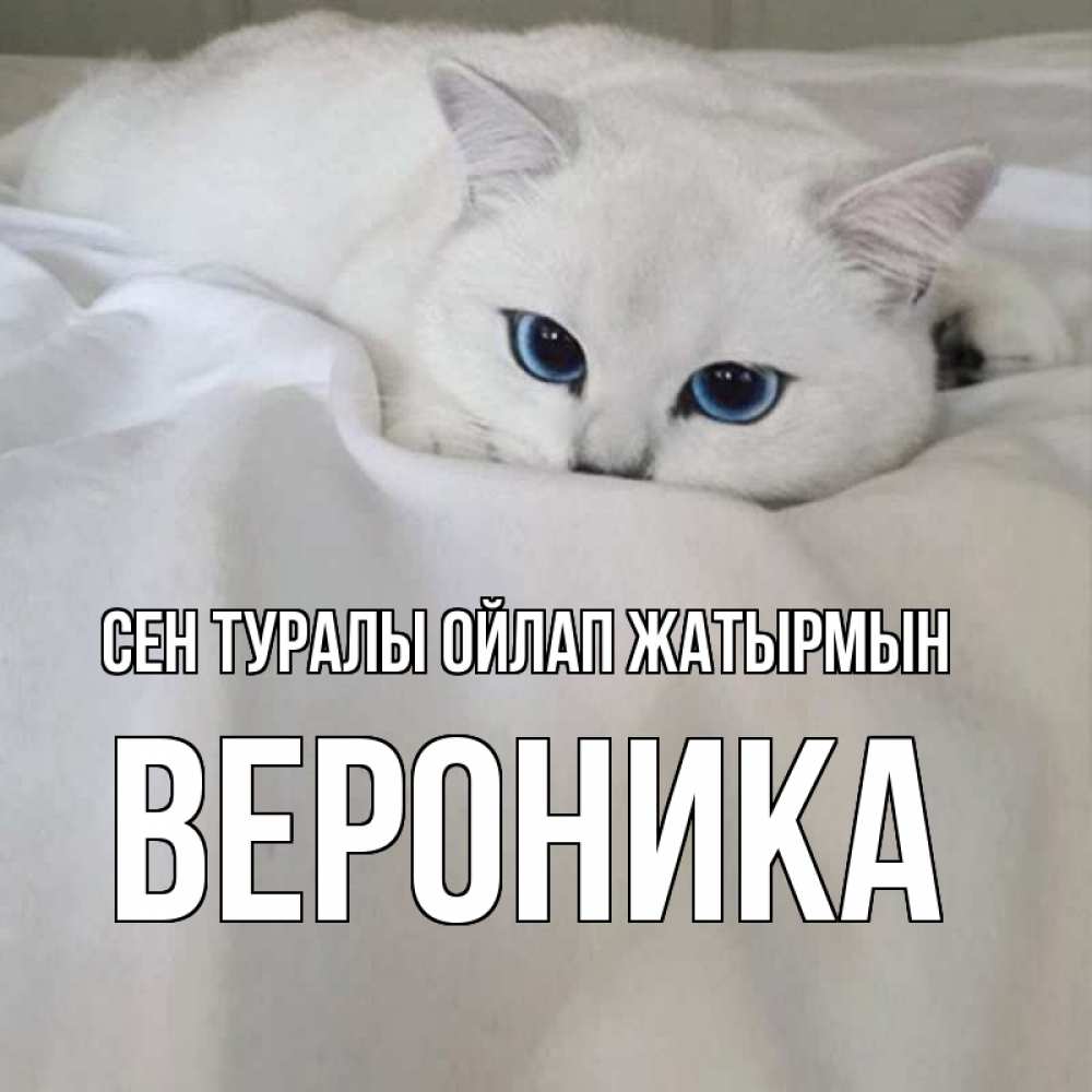 Күн сайын ашық хат с именем, Вероника Сен туралы ойлап жатырмын я очень по тебе скучаю и тоскую Онлайн тегін жүктеп алу тілектері бар керемет карта 