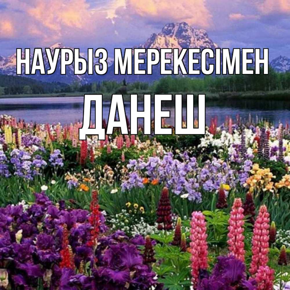 Күн сайын ашық хат с именем, ДАНЕШ Наурыз мерекесімен праздник весны наурыз Онлайн тегін жүктеп алу тілектері бар керемет карта 