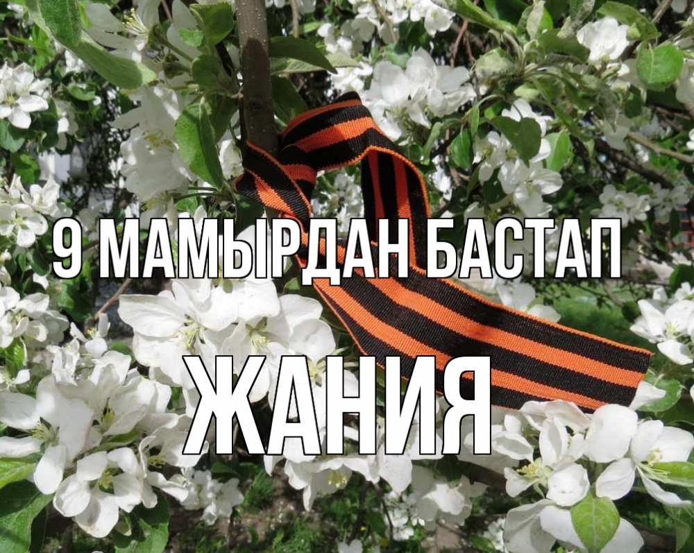 Күн сайын ашық хат с именем, ЖАНИЯ 9 мамырдан бастап 9 мая Онлайн тегін жүктеп алу тілектері бар керемет карта 