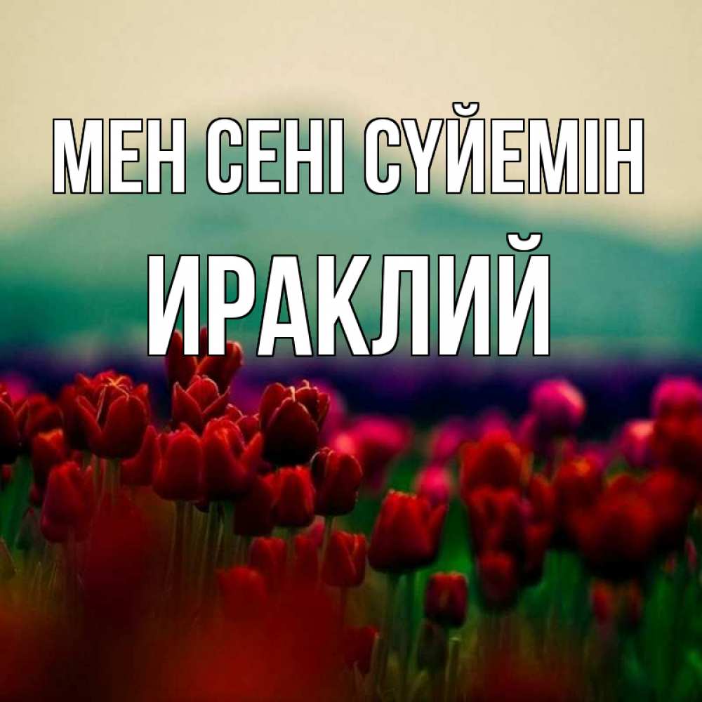 Күн сайын ашық хат с именем, Ираклий Мен сені сүйемін тюльпаны 4 Онлайн тегін жүктеп алу тілектері бар керемет карта 