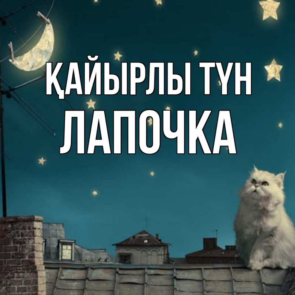 Күн сайын ашық хат с именем, Лапочка Қайырлы түн белый кот сидит на крыше Онлайн тегін жүктеп алу тілектері бар керемет карта 