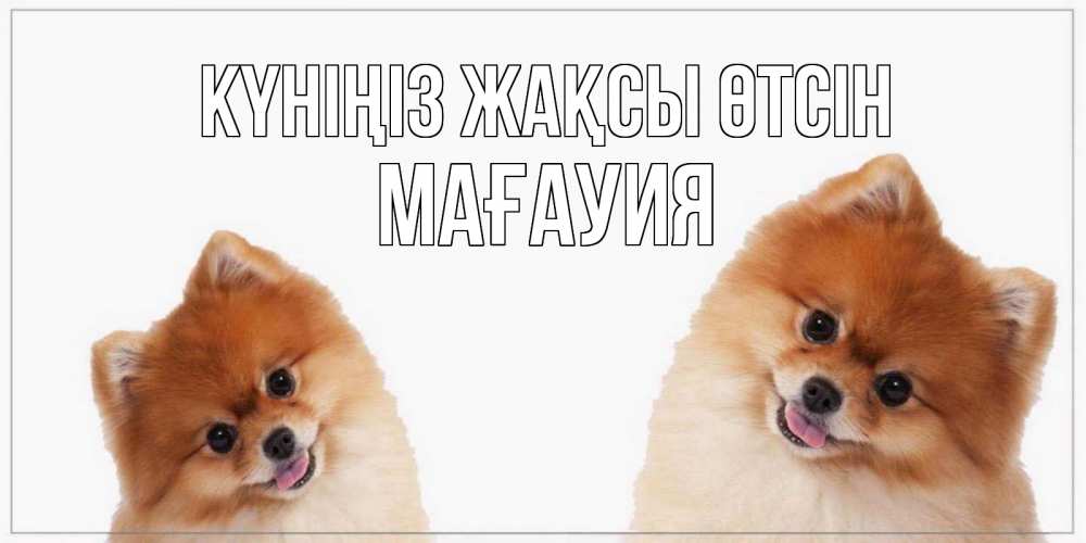 Күн сайын ашық хат с именем, МАҒАУИЯ Күніңіз жақсы өтсін собачки желают прекрасного дня Онлайн тегін жүктеп алу тілектері бар керемет карта 