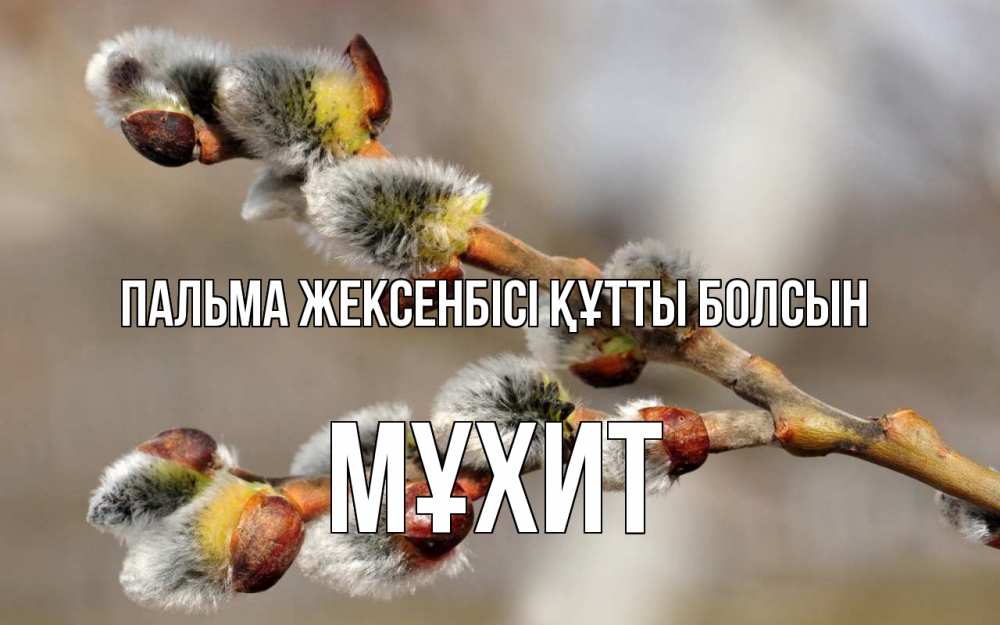 Күн сайын ашық хат с именем, МҰХИТ Пальма жексенбісі құтты болсын Верба Онлайн тегін жүктеп алу тілектері бар керемет карта 