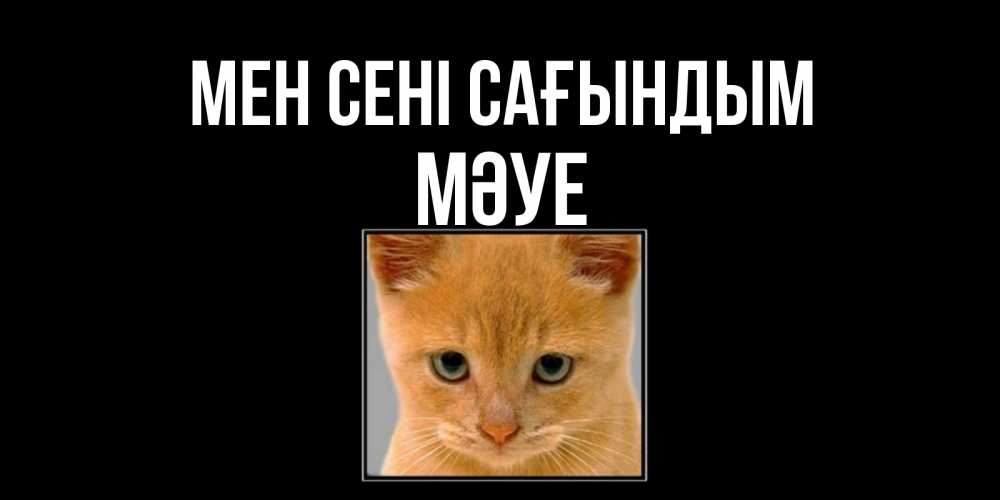 Күн сайын ашық хат с именем, МӘУЕ Мен сені сағындым открытки рыжий котенок скучает по тебе Онлайн тегін жүктеп алу тілектері бар керемет карта 