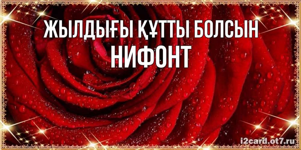 Күн сайын ашық хат с именем, Нифонт Жылдығы құтты болсын роса на розе блестящая в лучах солнца Онлайн тегін жүктеп алу тілектері бар керемет карта 