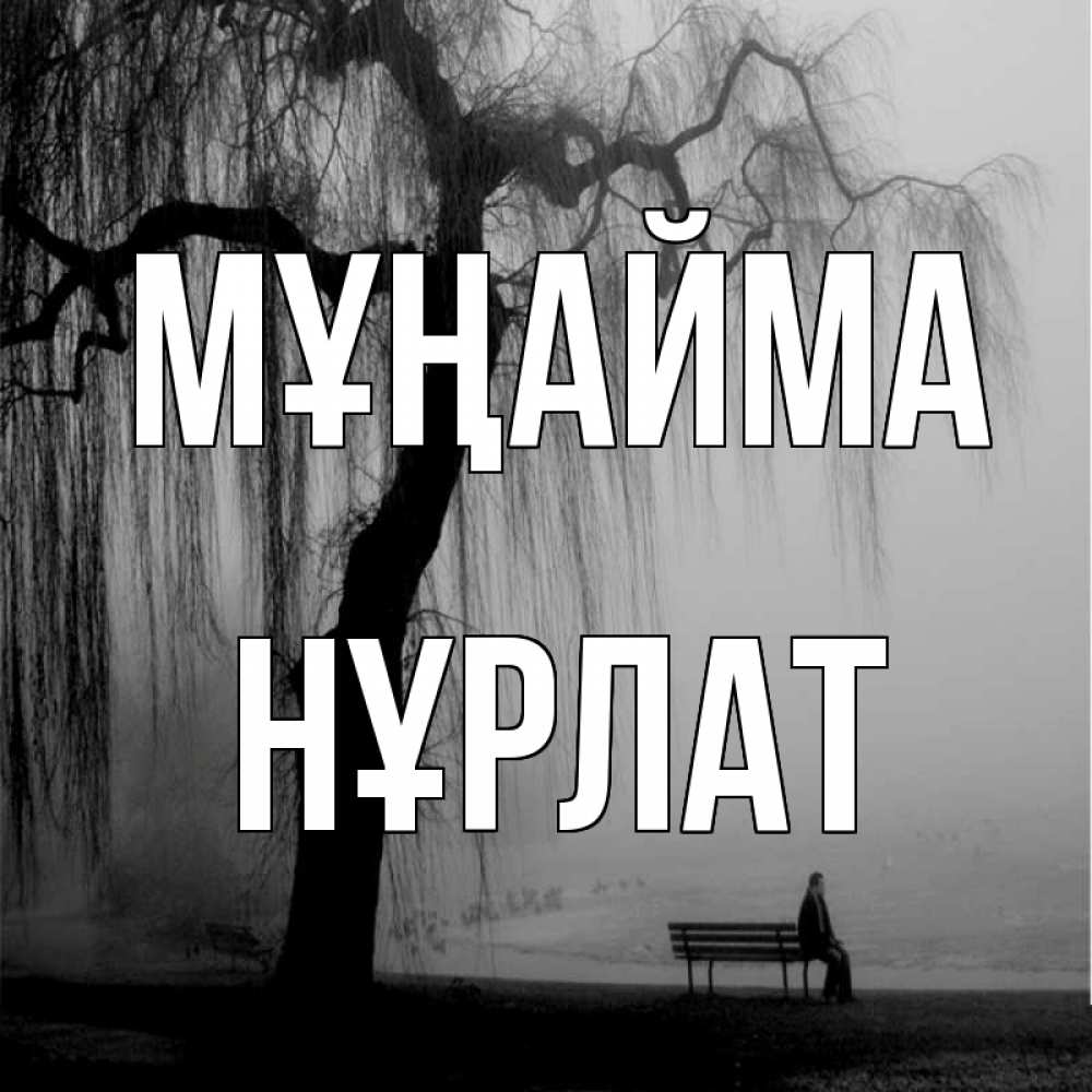 Күн сайын ашық хат с именем, НҰРЛАТ Мұңайма висящие ветки дерева и лавочка под деревом Онлайн тегін жүктеп алу тілектері бар керемет карта 