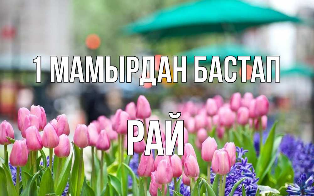 Күн сайын ашық хат с именем, РАЙ 1 мамырдан бастап С 1 мая Онлайн тегін жүктеп алу тілектері бар керемет карта 