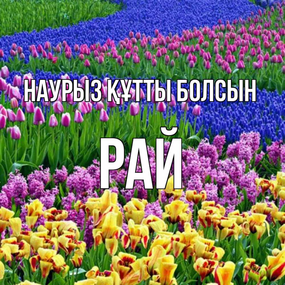 Күн сайын ашық хат с именем, РАЙ Наурыз құтты болсын цветы Онлайн тегін жүктеп алу тілектері бар керемет карта 