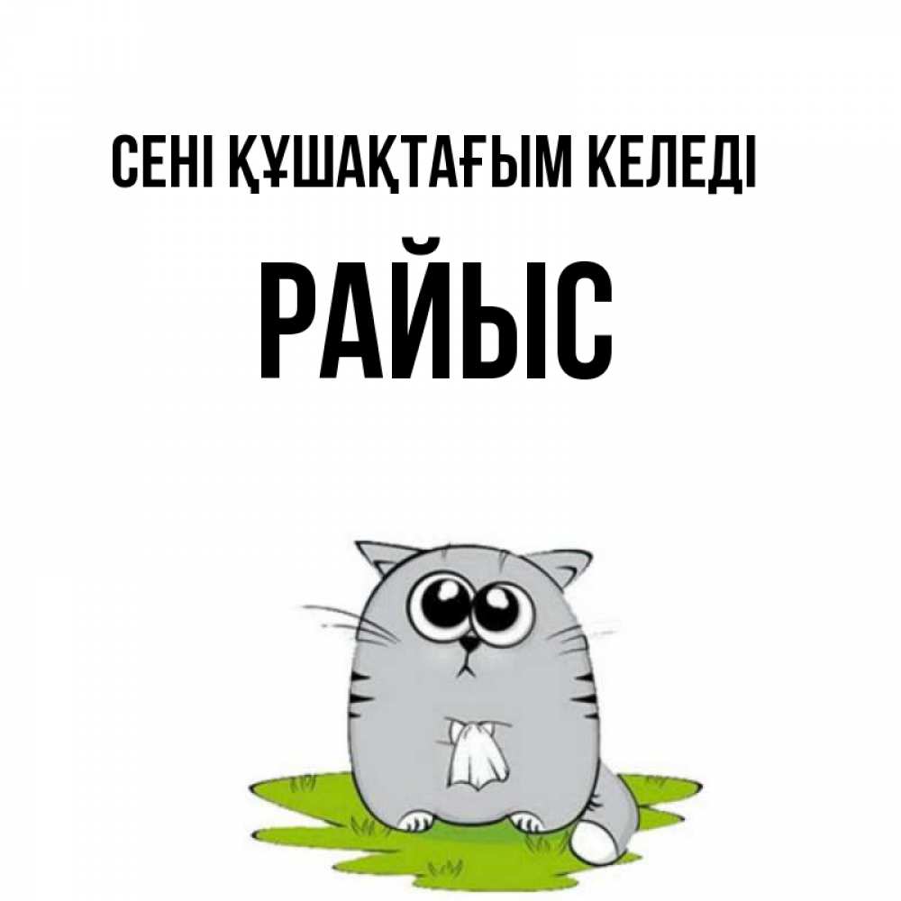 Күн сайын ашық хат с именем, РАЙЫС сені құшақтағым келеді котик теребит платочек сидя на травке Онлайн тегін жүктеп алу тілектері бар керемет карта 