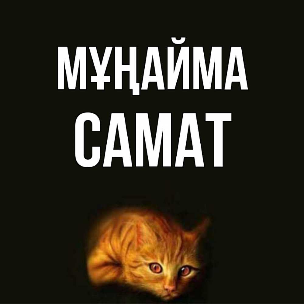 Күн сайын ашық хат с именем, САМАТ Мұңайма лежащий кот в темноте Онлайн тегін жүктеп алу тілектері бар керемет карта 