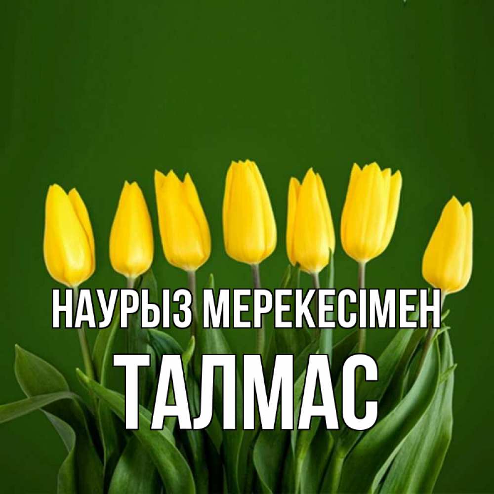 Күн сайын ашық хат с именем, ТАЛМАС Наурыз мерекесімен желтого цвета 3 Онлайн тегін жүктеп алу тілектері бар керемет карта 