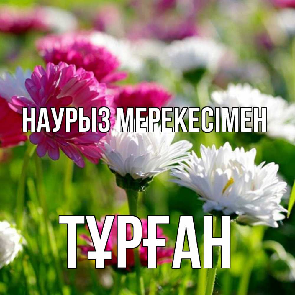 Күн сайын ашық хат с именем, ТҰРҒАН Наурыз мерекесімен праздник весны наурыз красота Онлайн тегін жүктеп алу тілектері бар керемет карта 